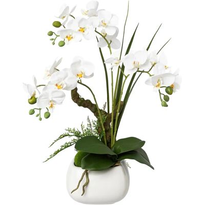 CREATIV GREEN - Phalaenopsis Keramiktopf - Kunstpflanze CREATIV GREEN - Phalaenopsis Keramiktopf - Kunstpflanze