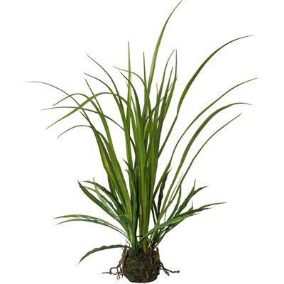 CREATIV GREEN - Wiesengras im Ballen CREATIV GREEN - Wiesengras im Ballen