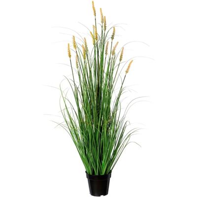CREATIV GREEN - Grasbusch Pennisetum - 120 cm - Grass CREATIV GREEN - Grasbusch Pennisetum - 120 cm - Grass