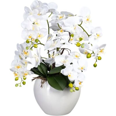 CREATIV GREEN Phalaenopsis - Weiße Orchidee - 56cm CREATIV GREEN Phalaenopsis - Weiße Orchidee - 56cm