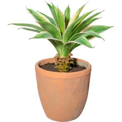 CREATIV GREEN - Agave im Terracottatopf - Artificial plant CREATIV GREEN - Agave im Terracottatopf - Artificial plant