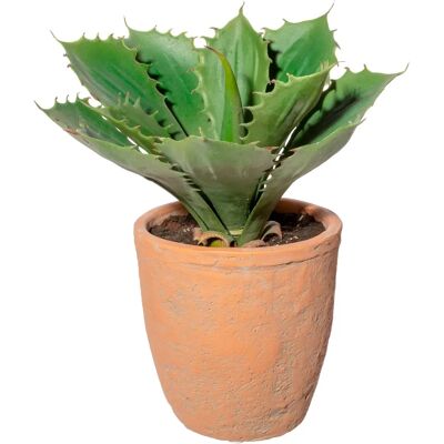 CREATIV GREEN Echeveria im Terracottatopf - Artificial Plant CREATIV GREEN Echeveria im Terracottatopf - Artificial Plant