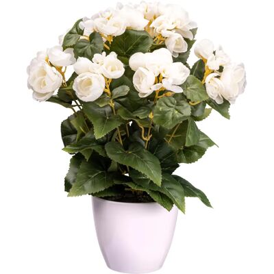 CREATIV GREEN - Begonienbusch - beige CREATIV GREEN - Begonienbusch - beige
