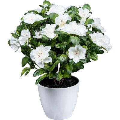 CREATIV GREEN - Azaleenbusch - 32 cm - Kunstpflanze CREATIV GREEN - Azaleenbusch - 32 cm - Kunstpflanze