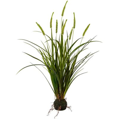 CREATIV GREEN - Miscanthus im Erdballen - Kunstgras CREATIV GREEN - Miscanthus im Erdballen - Kunstgras