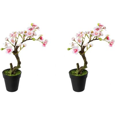 CREATIV GREEN - Mandelbonsai im Topf - rosa CREATIV GREEN - Mandelbonsai im Topf - rosa