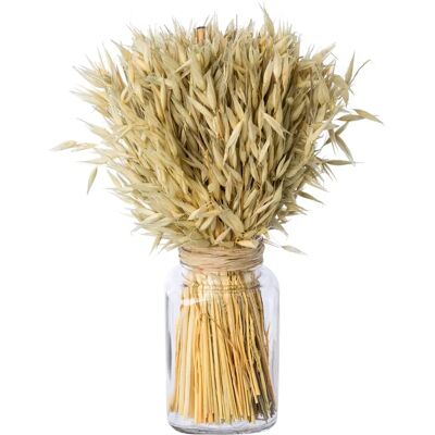 CREATIV HOME - Trockenblumenarrangement im Glas - Creme - Ø9 cm x 30 cm - Dekorative Pflanze CREATIV HOME - Trockenblumenarrangement im Glas - Creme - Ø9 cm x 30 cm - Dekorative Pflanze