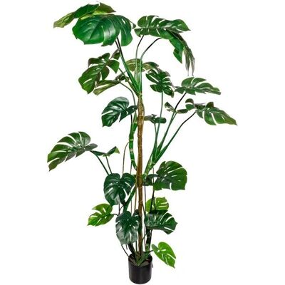 CREATIV GREEN Künstliche Pflanzen - Splitphilodendron, Colocasia, Arecapalme - 180cm, Grün CREATIV GREEN Künstliche Pflanzen - Splitphilodendron, Colocasia, Arecapalme - 180cm, Grün