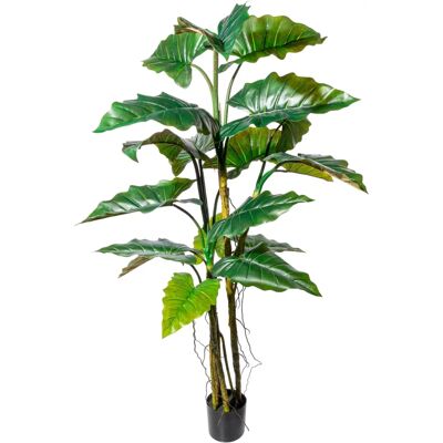 CREATIV GREEN Colocasia - Künstliche Pflanze - 180 cm - Grün - Innendekoration CREATIV GREEN Colocasia - Künstliche Pflanze - 180 cm - Grün - Innendekoration