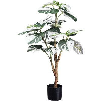 CREATIV GREEN - Monstera Deliciosa Variegata - 80 cm CREATIV GREEN - Monstera Deliciosa Variegata - 80 cm