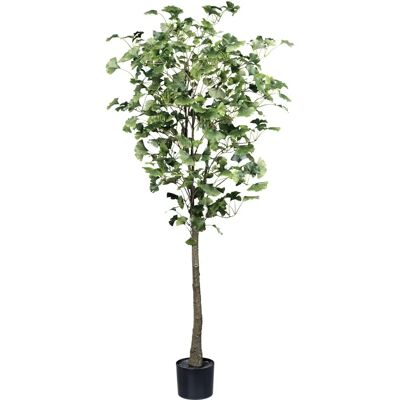 CREATIV GREEN Gingkobaum - Kunstpflanze - Grün - 150cm CREATIV GREEN Gingkobaum - Kunstpflanze - Grün - 150cm