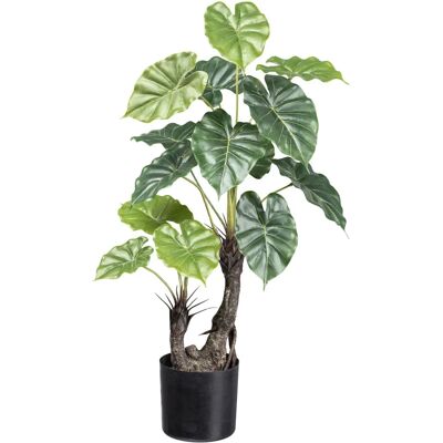CREATIV GREEN - Taropflanze - 70 cm CREATIV GREEN - Taropflanze - 70 cm
