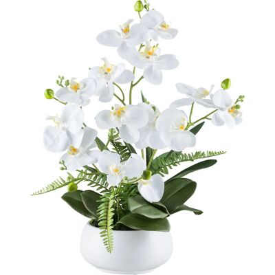 CREATIV GREEN - Orchidee Phalaenopsis - 55 cm - Artificial orchid CREATIV GREEN - Orchidee Phalaenopsis - 55 cm - Artificial orchid