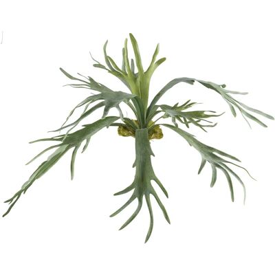 CREATIV GREEN - Geweihfarn - Grün - 80 cm - Artificial Plant CREATIV GREEN - Geweihfarn - Grün - 80 cm - Artificial Plant