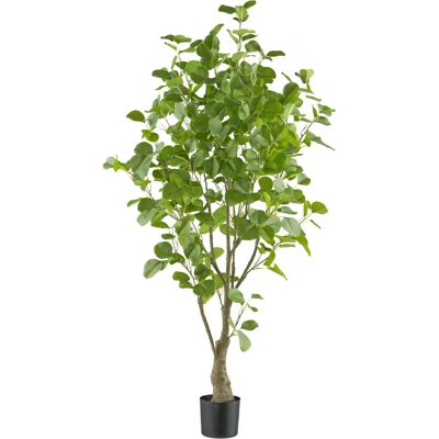 CREATIV GREEN Eukalyptus Kunstpflanzen - Grün, 130cm CREATIV GREEN Eukalyptus Kunstpflanzen - Grün, 130cm