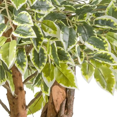 CREATIV GREEN - Ficus benjamina - 165 cm - Kunstpflanze CREATIV GREEN - Ficus benjamina - 165 cm - Kunstpflanze