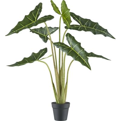CREATIV GREEN - Alocasia zebrina sarian - Kunstpflanze CREATIV GREEN - Alocasia zebrina sarian - Kunstpflanze