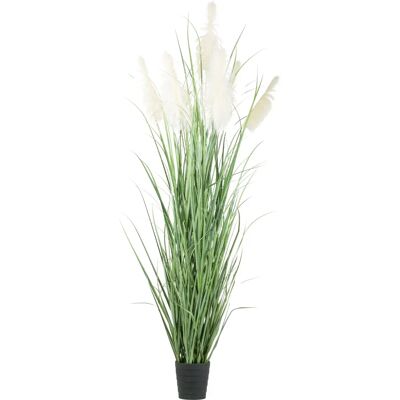 CREATIV GREEN - Pampasgras - Grün - Artificial plant CREATIV GREEN - Pampasgras - Grün - Artificial plant