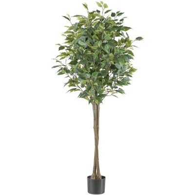 Pflanzen-Kölle Ficus benjamina - 125 cm - künstliche Pflanze Pflanzen-Kölle Ficus benjamina - 125 cm - künstliche Pflanze