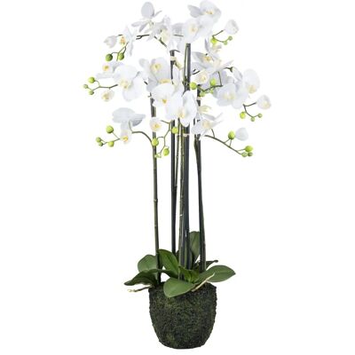 Pflanzen-Kölle Real Touch Weiß 93 cm Artificial orchid Pflanzen-Kölle Real Touch Weiß 93 cm Artificial orchid