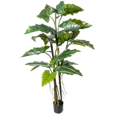 Pflanzen-Kölle - Colocasia - 180 cm - Kunstpflanze Pflanzen-Kölle - Colocasia - 180 cm - Kunstpflanze
