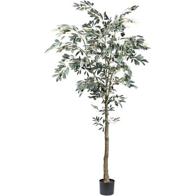 Pflanzen-Kölle - Künstlicher Olivenbaum - 210 cm - Artificial tree Pflanzen-Kölle - Künstlicher Olivenbaum - 210 cm - Artificial tree