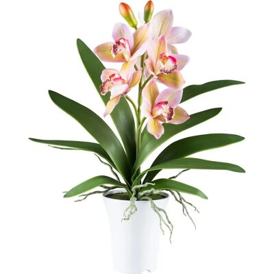 Pflanzen-Kölle - Cymbidium - grünrosa - Artificial plant Pflanzen-Kölle - Cymbidium - grünrosa - Artificial plant