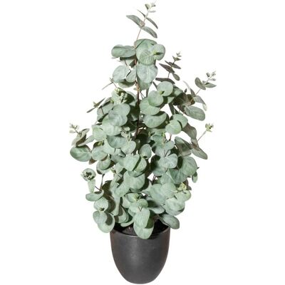 Pflanzen-Kölle - Künstlicher Eukalyptus - grüngrau Pflanzen-Kölle - Künstlicher Eukalyptus - grüngrau
