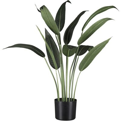 CREATIV GREEN - Wassercanna - Grün - Artificial plant CREATIV GREEN - Wassercanna - Grün - Artificial plant