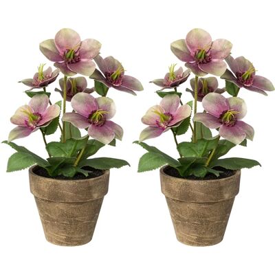 CREATIV DECO Lila Weihnachtsrose Set - Kunstpflanzen CREATIV DECO Lila Weihnachtsrose Set - Kunstpflanzen