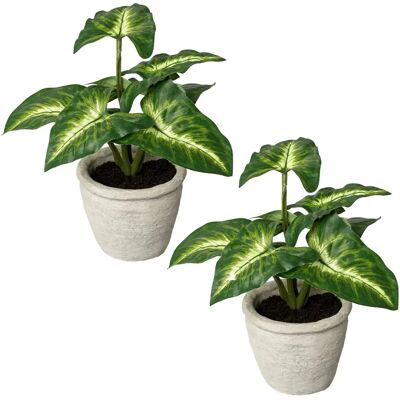 CREATIV GREEN - Blattpflanze Syngonium - 15x20 cm - Artificial plants CREATIV GREEN - Blattpflanze Syngonium - 15x20 cm - Artificial plants