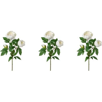 CREATIV GREEN - Peonienzweig - Weiß - Artificial flower CREATIV GREEN - Peonienzweig - Weiß - Artificial flower