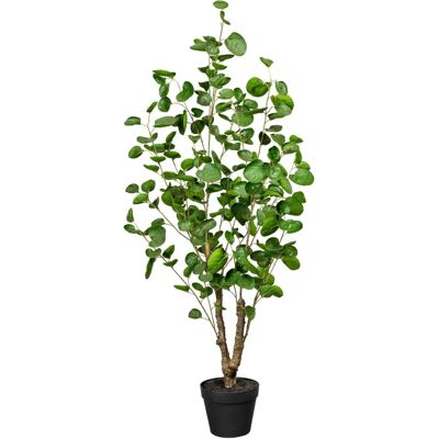CREATIV GREEN - Fiederaralie - 110 cm - Kunstpflanze CREATIV GREEN - Fiederaralie - 110 cm - Kunstpflanze