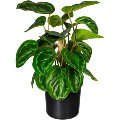 CREATIV GREEN - Maranta - 45 cm - Artificial plant CREATIV GREEN - Maranta - 45 cm - Artificial plant