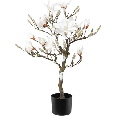 CREATIV GREEN Magnolie Schneebedeckte Winterdekoration - Künstliche Pflanze CREATIV GREEN Magnolie Schneebedeckte Winterdekoration - Künstliche Pflanze