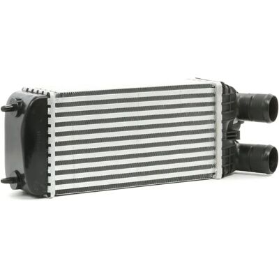 RIDEX 468I0135 Intercooler - Intercooler per Peugeot, Citroën, Opel RIDEX 468I0135 Intercooler - Intercooler per Peugeot, Citroën, Opel