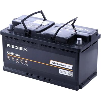 RIDEX 1S0018 RIDEX 1S0018
