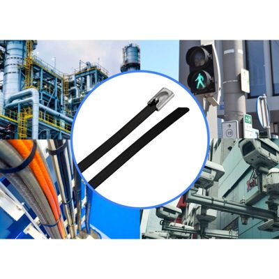 Tru Components TC-12656596 Stahlkabelbinder - 290mm, AISI 316, 100 St. Tru Components TC-12656596 Stahlkabelbinder - 290mm, AISI 316, 100 St.