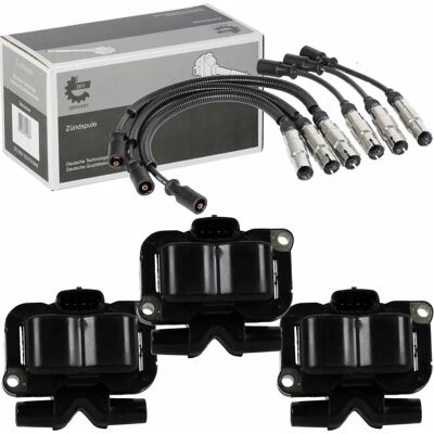 SKV - 0003100V003 - Zündspule Kit SKV - 0003100V003 - Zündspule Kit