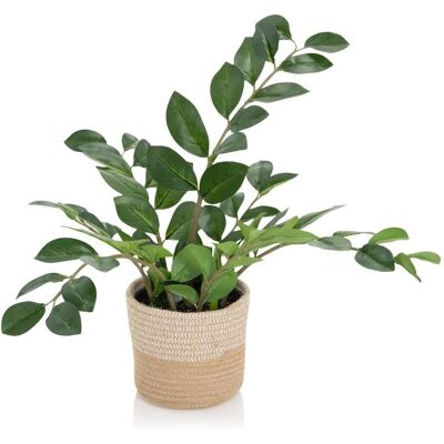 Plante Artificielle Zamioculcas - Vert, 7 Feuilles - Publicité Plante Artificielle Zamioculcas - Vert, 7 Feuilles - Publicité