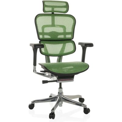 hjh OFFICE Ergohuman Model GEN2 Groene Bureaustoel - Verstelbare Lenden- & Hoofdsteun hjh OFFICE Ergohuman Model GEN2 Groene Bureaustoel - Verstelbare Lenden- & Hoofdsteun