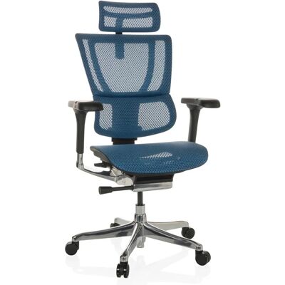 hjh OFFICE ERGOHUMAN SLIM GEN2 Mesh Blue - Luxus Bürostuhl hjh OFFICE ERGOHUMAN SLIM GEN2 Mesh Blue - Luxus Bürostuhl