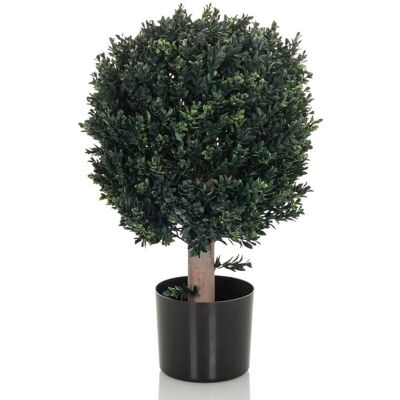 hjh OFFICE BUXUS - Plante Artificielle - Arbre de 65cm - Décoration Réaliste - Publicité hjh OFFICE BUXUS - Plante Artificielle - Arbre de 65cm - Décoration Réaliste - Publicité