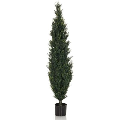 Arbre artificiel Cedrus - 152cm, Vert, Réaliste, Sans entretien - Publicité Arbre artificiel Cedrus - 152cm, Vert, Réaliste, Sans entretien - Publicité