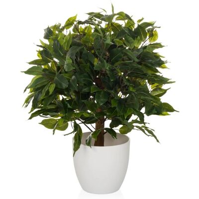 Ficus II Artificiel - Arbre Vert, 65 cm - HJH OFFICE - Publicité Ficus II Artificiel - Arbre Vert, 65 cm - HJH OFFICE - Publicité