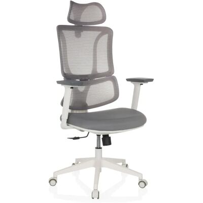 MyBuero ERGOMY W - Chaise de bureau - Gris - Design ergonomique - Publicité MyBuero ERGOMY W - Chaise de bureau - Gris - Design ergonomique - Publicité