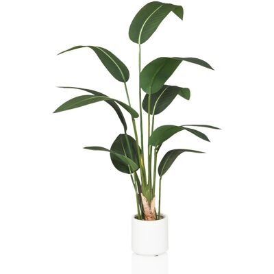 hjh OFFICE Strelitzia - Plante artificielle verte - 150 cm - Plante artificielle - Publicité hjh OFFICE Strelitzia - Plante artificielle verte - 150 cm - Plante artificielle - Publicité
