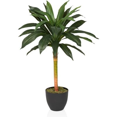 hjh Office Dracaena I - Plante artificielle, Vert, 85cm - Plante artificielle - Publicité hjh Office Dracaena I - Plante artificielle, Vert, 85cm - Plante artificielle - Publicité
