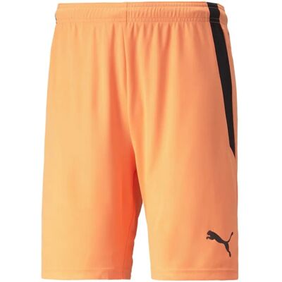 Puma 704924-21 Shorts - Sportkleding Puma 704924-21 Shorts - Sportkleding