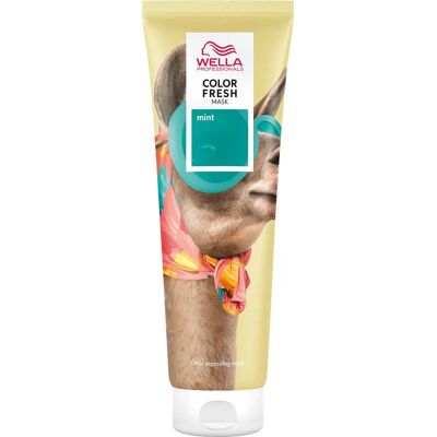 Wella Professionals Mint Farbige Frischemaske - Haarmaske für Farbauffrischung Wella Professionals Mint Farbige Frischemaske - Haarmaske für Farbauffrischung